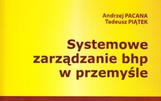 Systemowe zarądzanie bhp w przemyśle.  